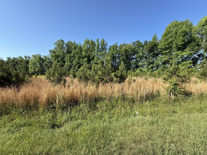 Featured Property Photo