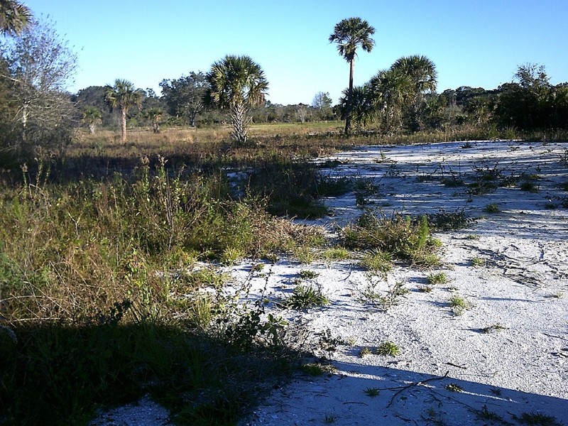 Century 21 Real Estate Okeechobee