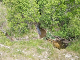 Small Photo