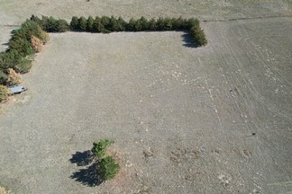 Small Photo