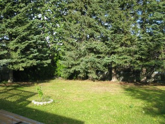 Small Photo