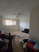 Small Photo