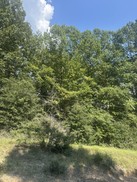 Small Photo