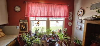 Small Photo
