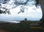 Small Photo